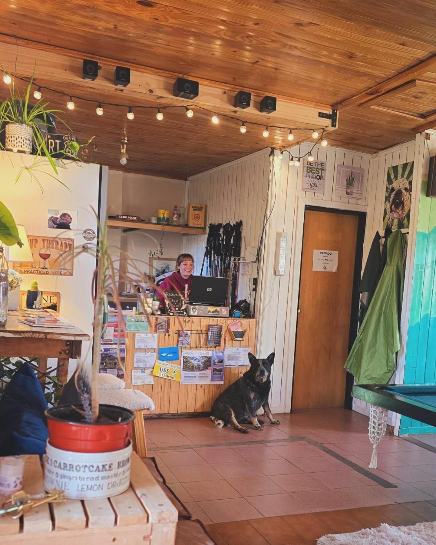 Hostel Del Lago, Habitaciones Privadas Y Cabanas Ел Чалтен Екстериор снимка